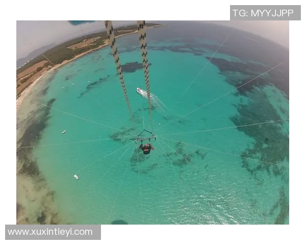 北京极限运动队实力之争引发热议各方观点交锋分析