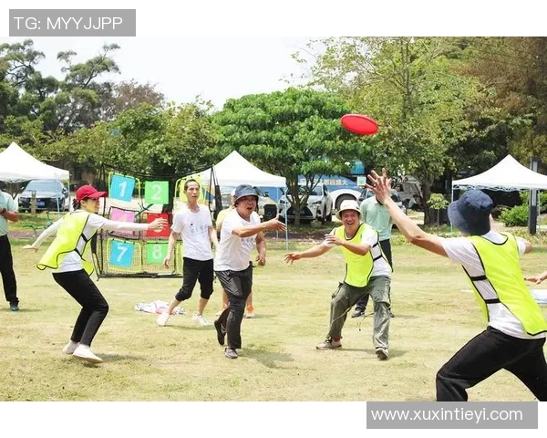 飞盘新手必看:全面解析飞盘技巧与实用入门指南